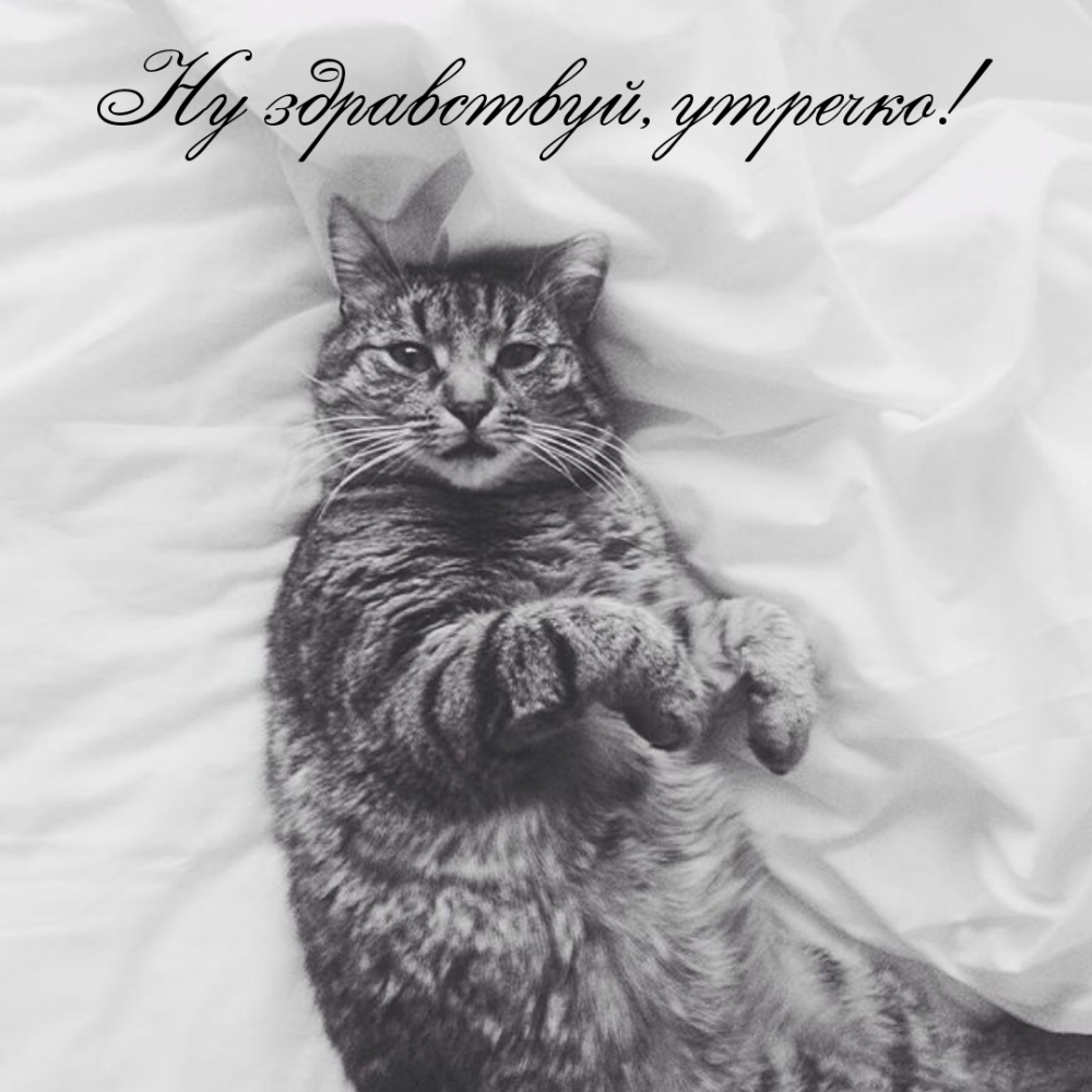 Ну здравствуй, утречко!