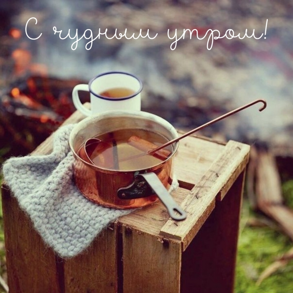 С чудным утром!