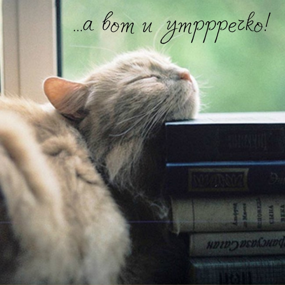 …а вот и утррречко!