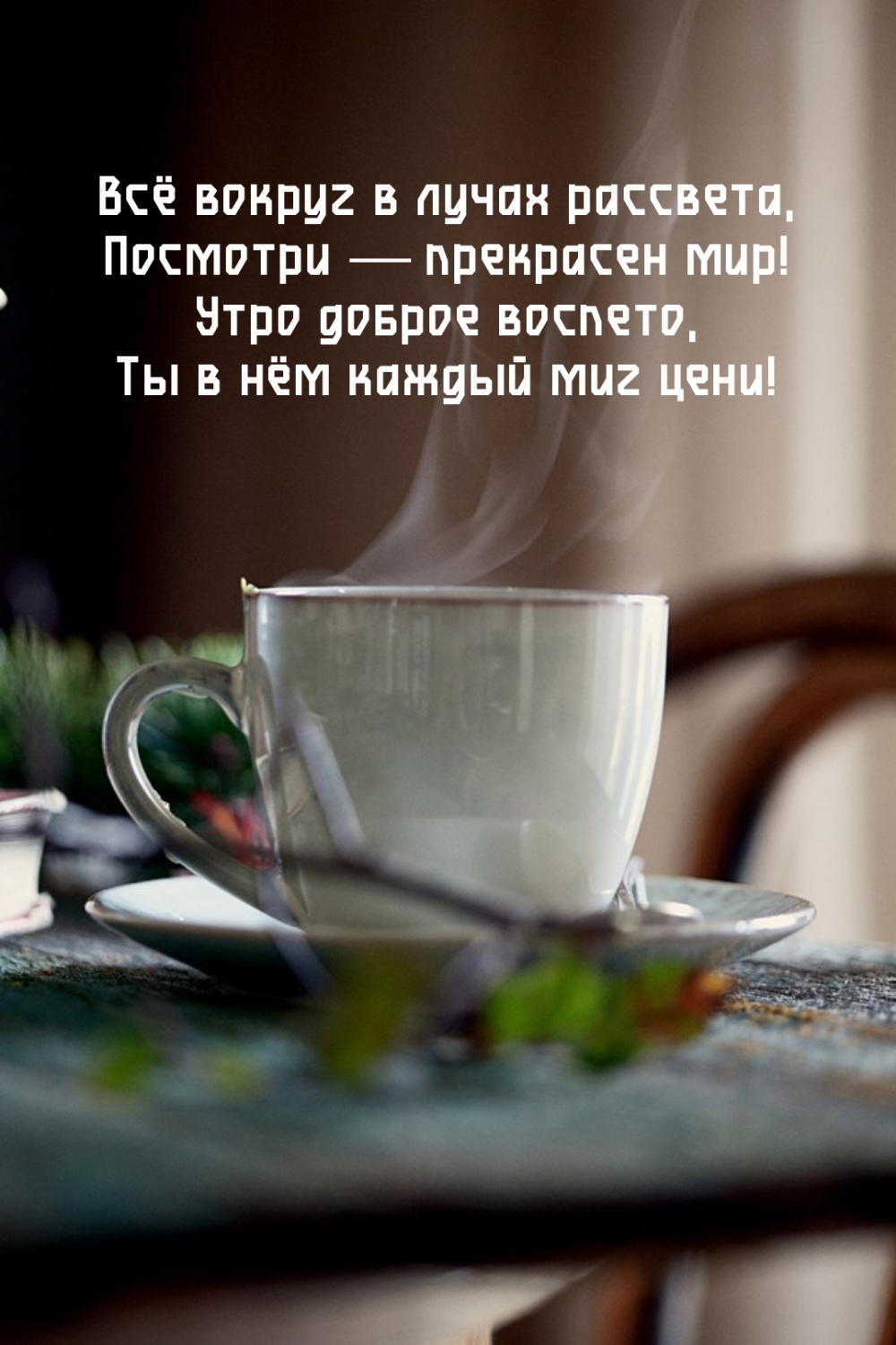 Всё вокруг в лучах рассвета