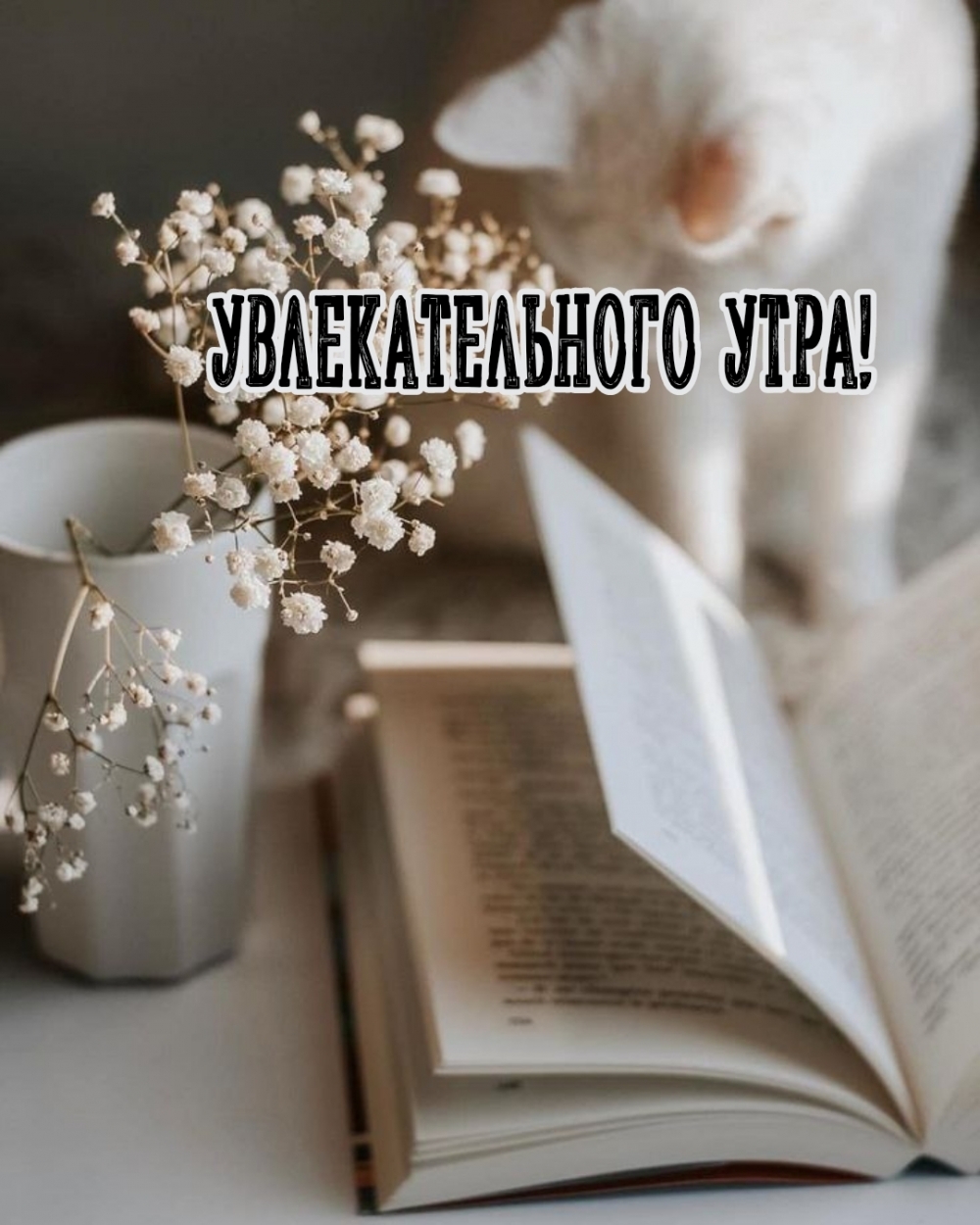 Увлекательного утра!