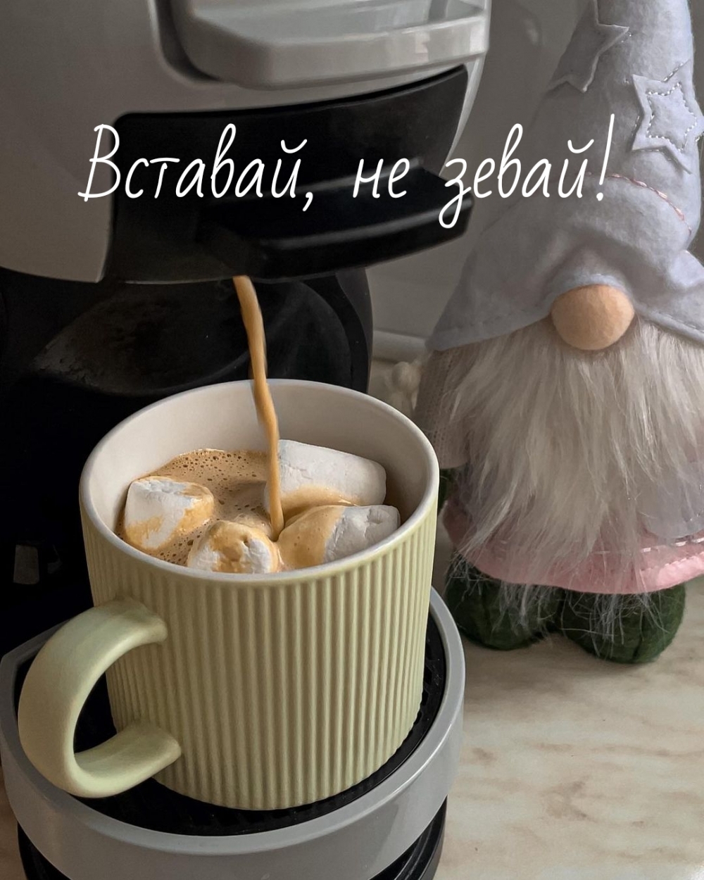 Вставай, не зевай!