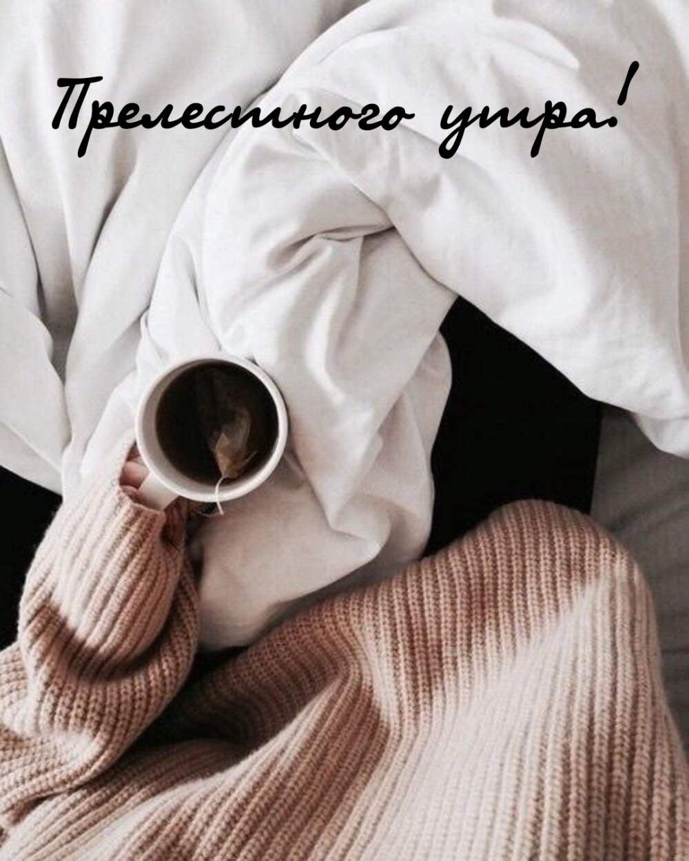 Прелестного утра!