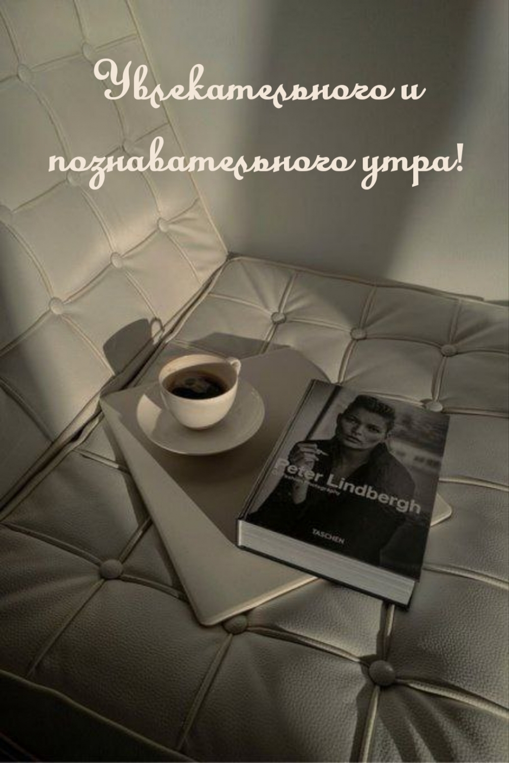Увлекательного и познавательного утра!