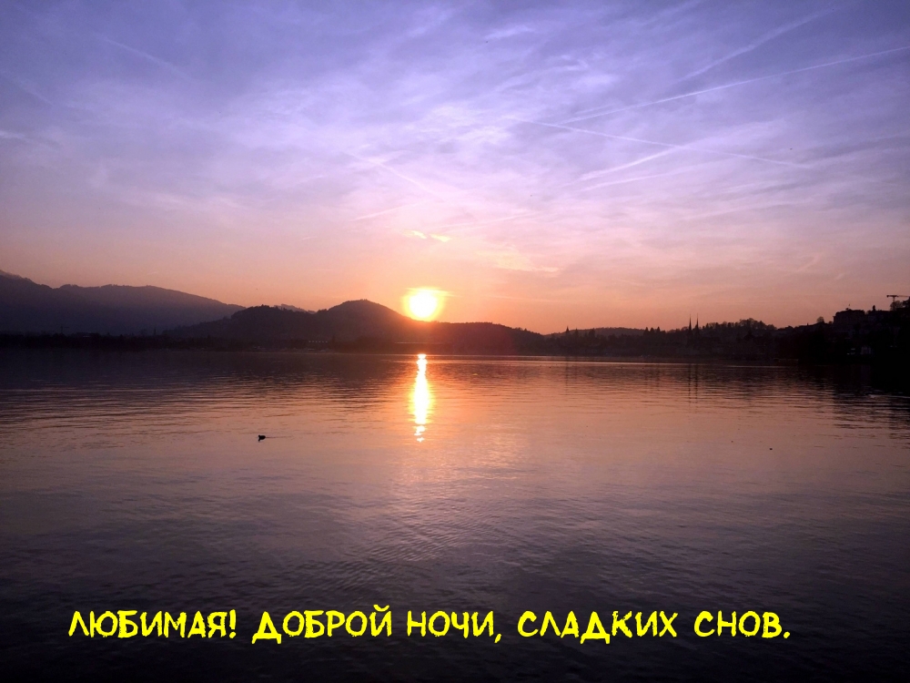 Любимая! Доброй ночи, сладких снов.