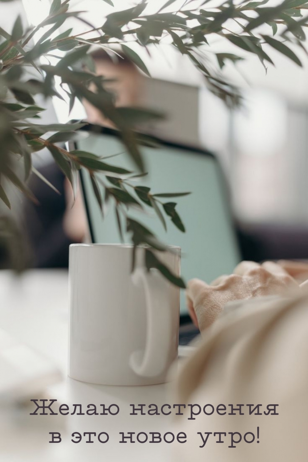 Желаю настроения в это новое утро!