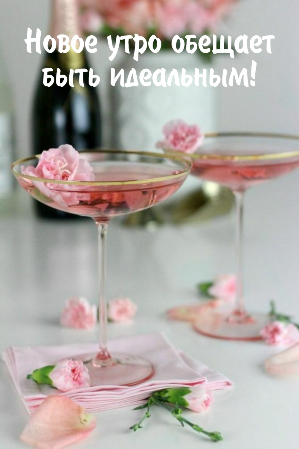 Новое утро обещает быть идеальным!