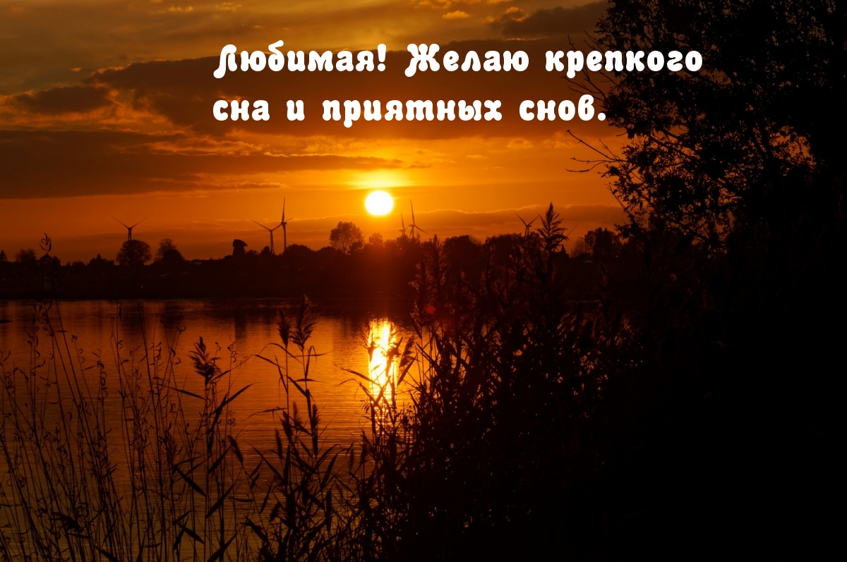Любимая! Желаю крепкого сна и приятных снов.
