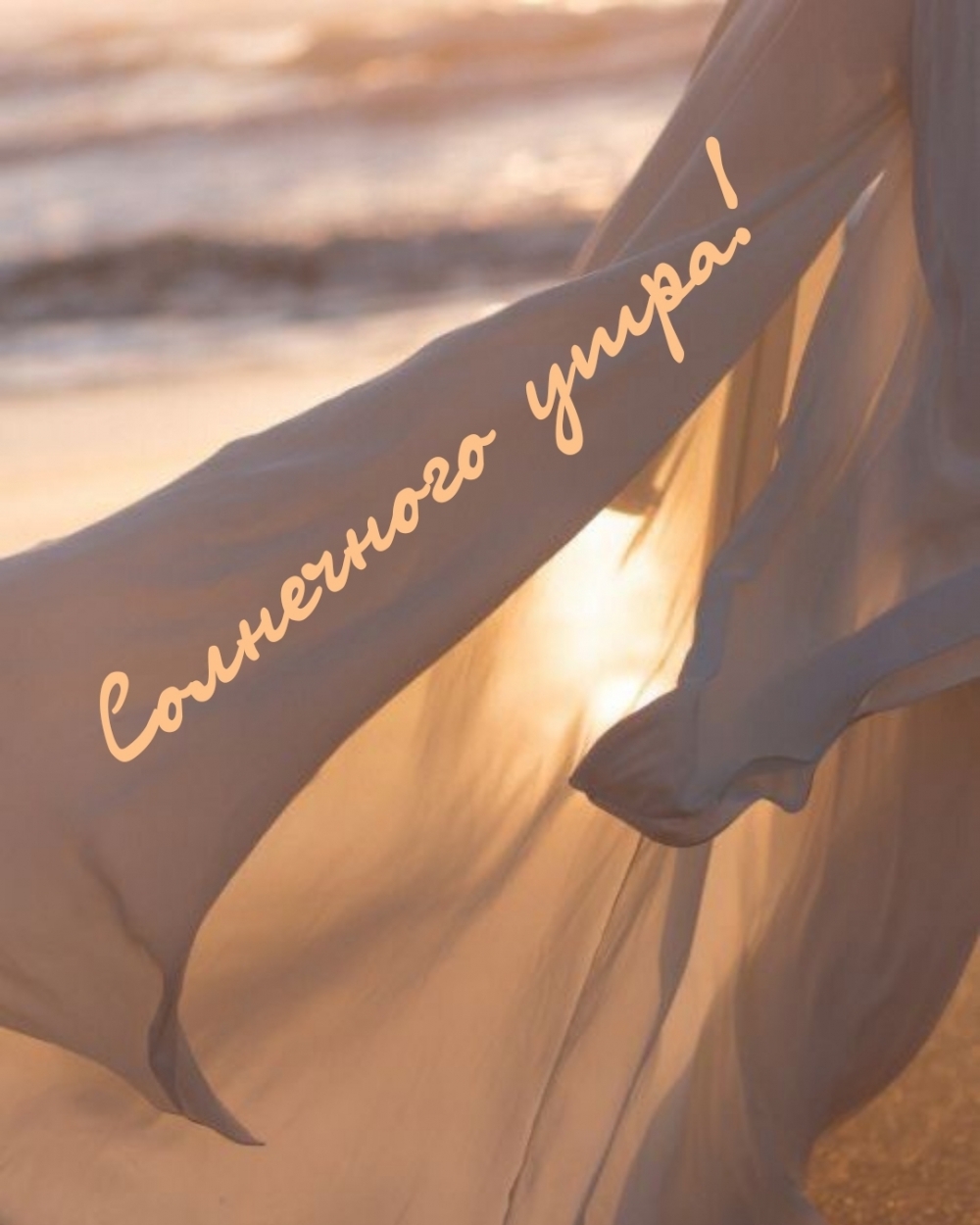 Солнечного утра!