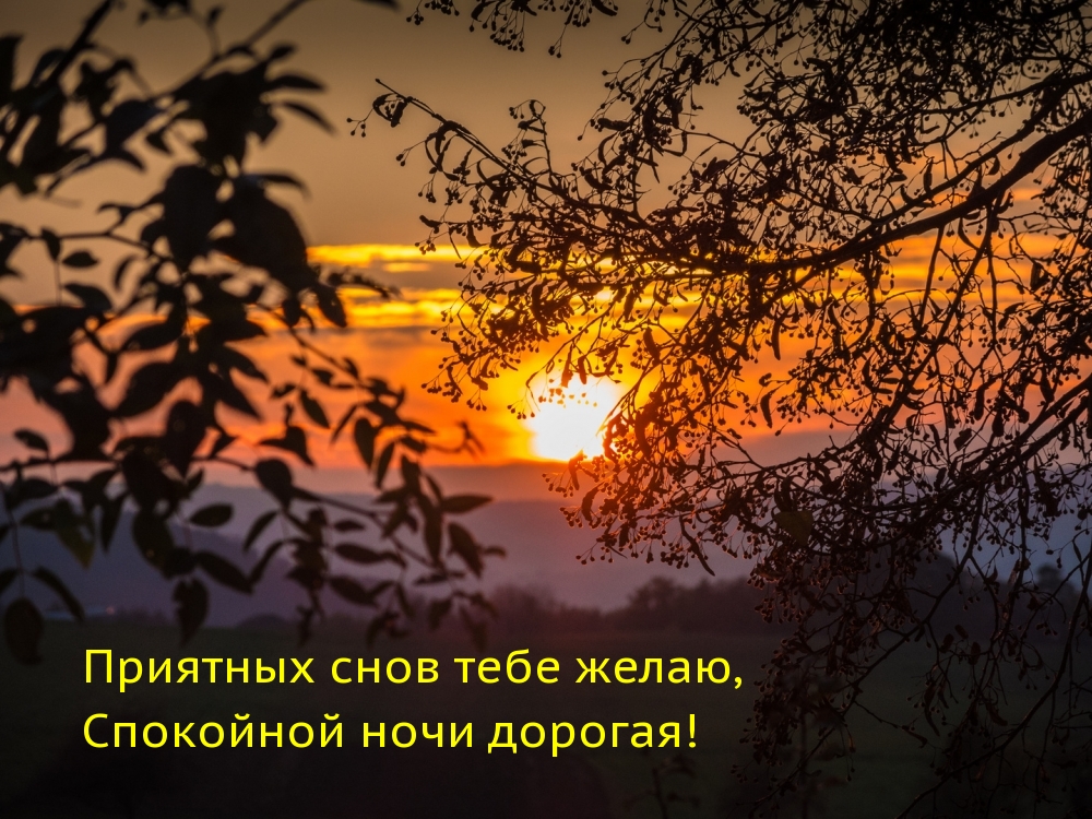 Приятных снов тебе желаю, Спокойной ночи дорогая!