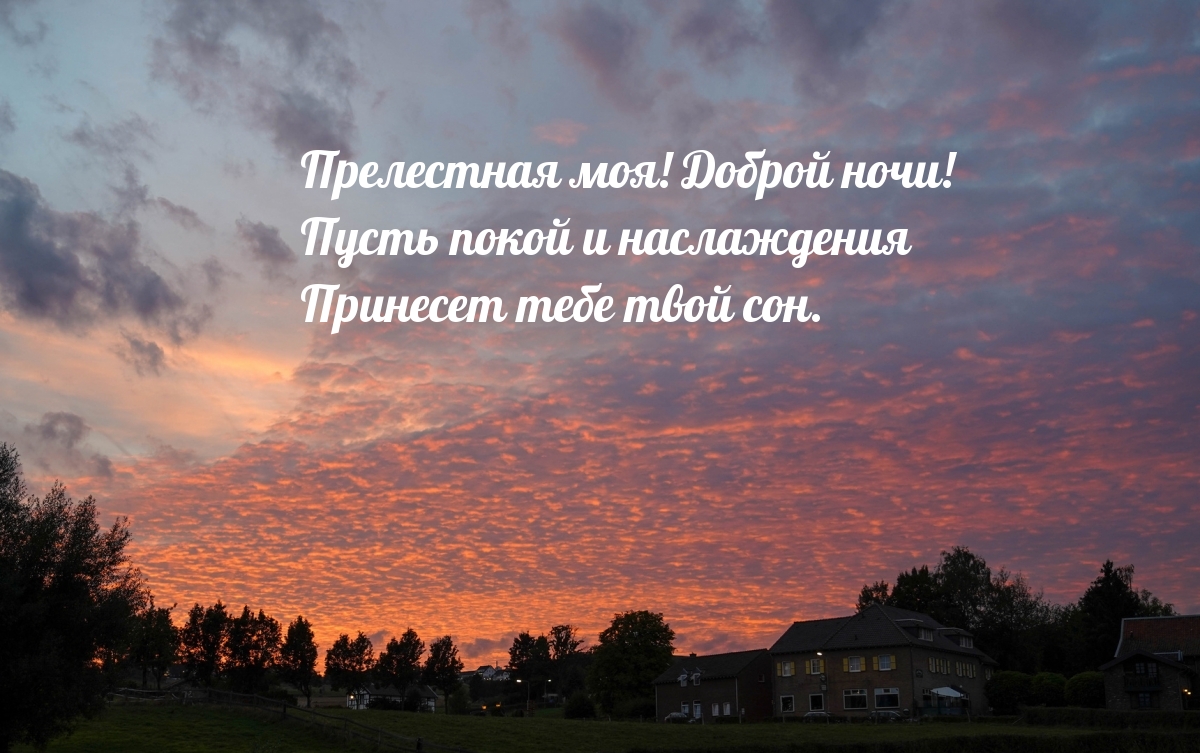 Прелестная моя! Доброй ночи!