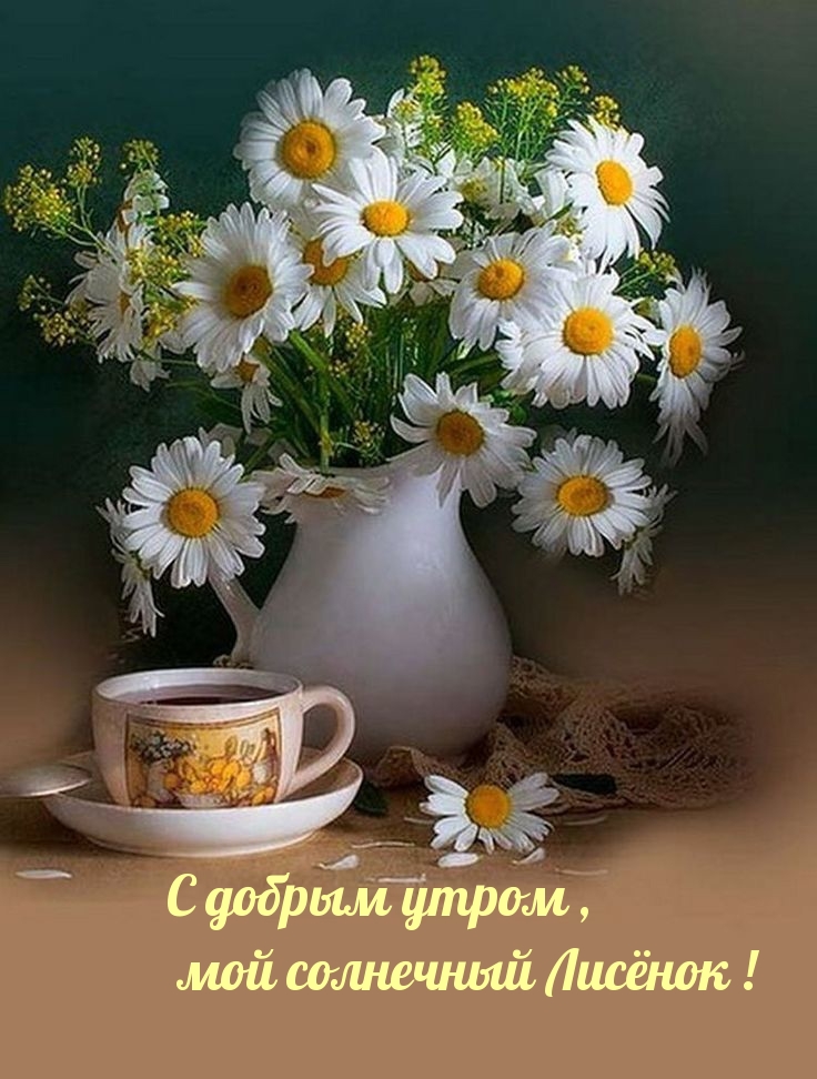 С добрым утром , мой солнечный Лисёнок!