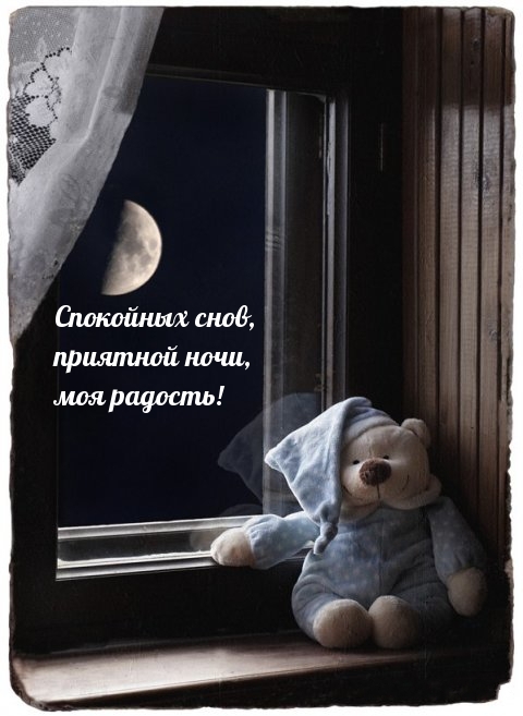 Спокойных снов, приятной ночи, моя радость!