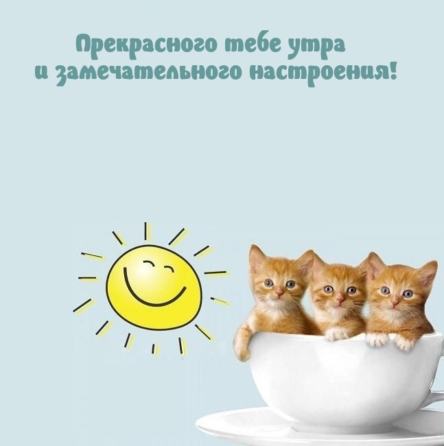 Прекрасного тебе утра и замечательного настроения!