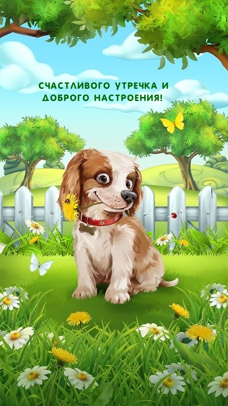 Счастливого утречка и доброго настроения!