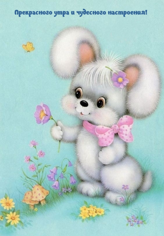 Прекрасного утра и чудесного настроения!