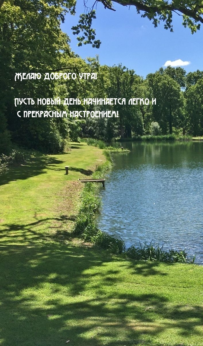Желаю доброго утра! Пусть новый день начинается легко