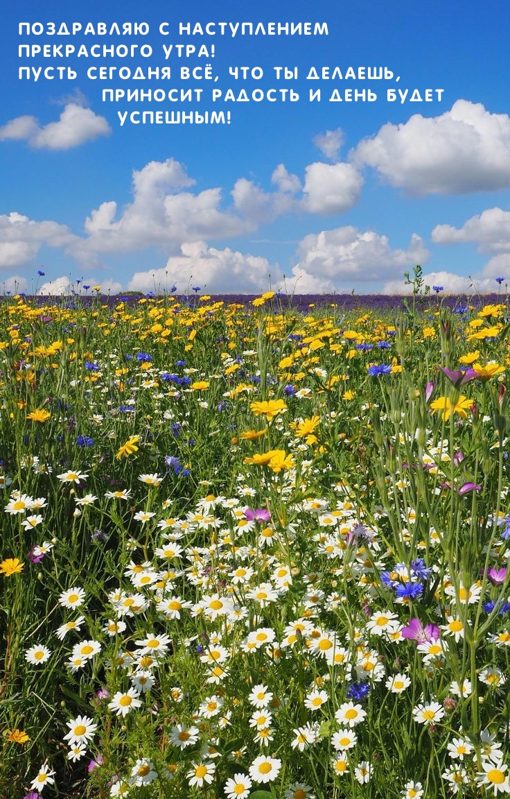 Поздравляю с наступлением прекрасного утра!