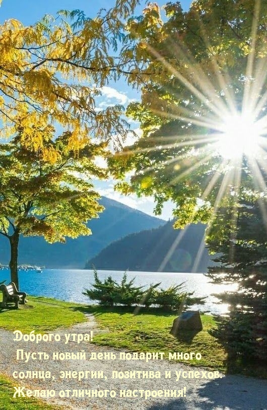 Доброго утра! Пусть новый день подарит много солнца
