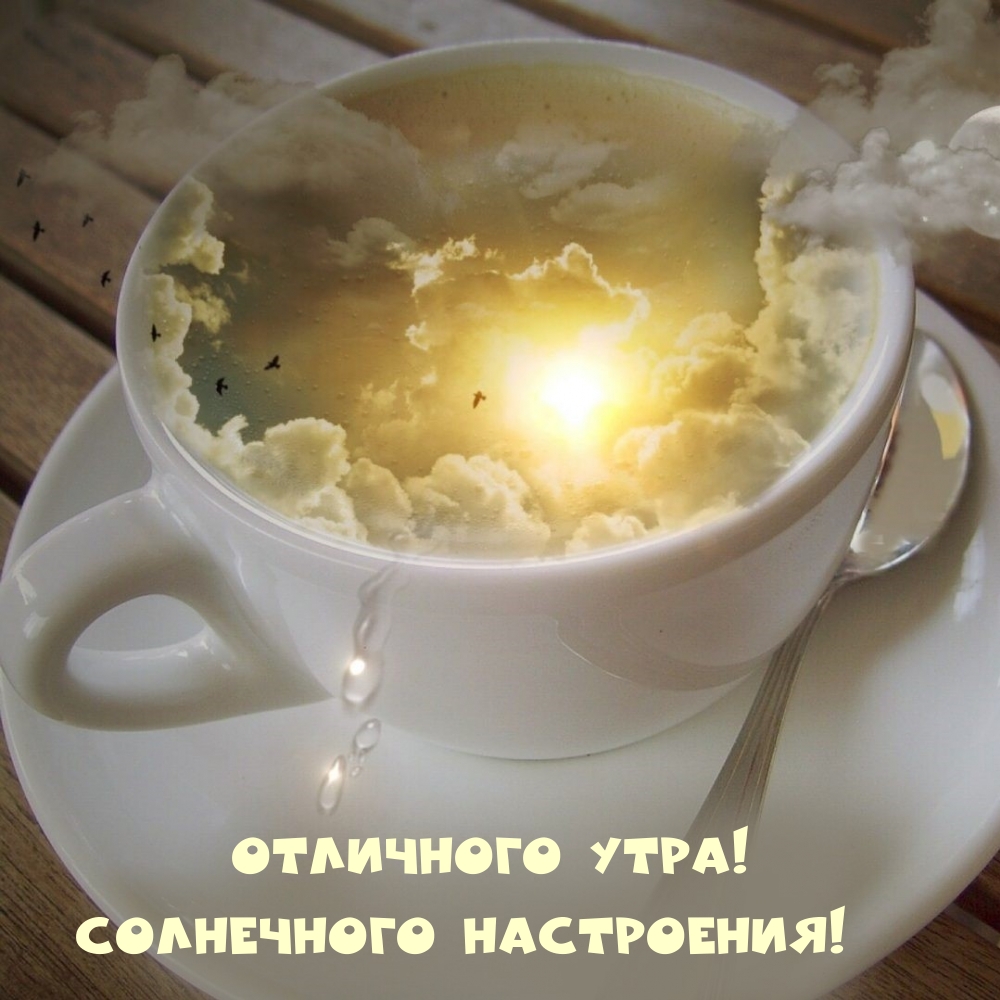 Отличного утра! Солнечного настроения!