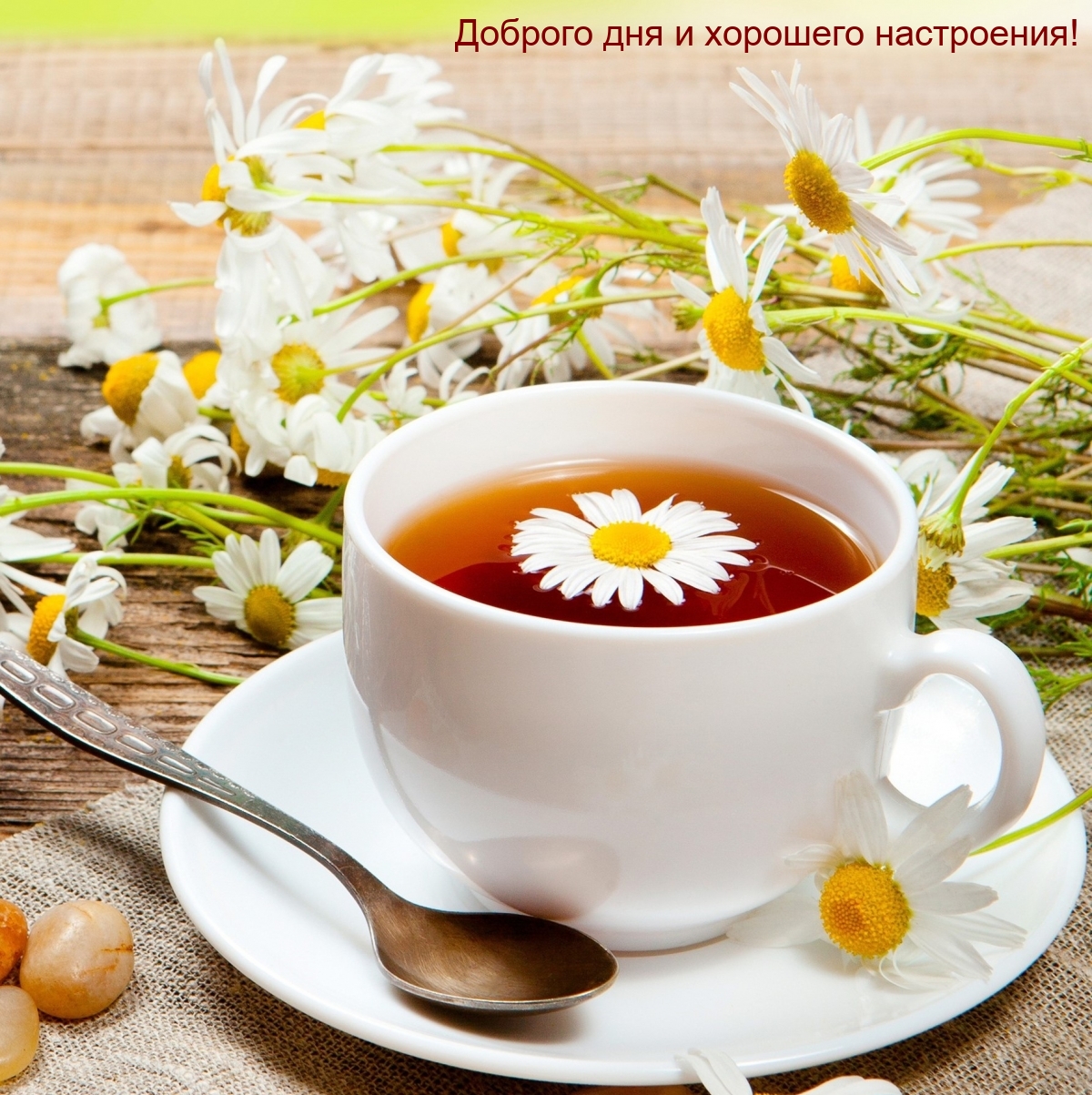 Доброго дня и хорошего настроения!