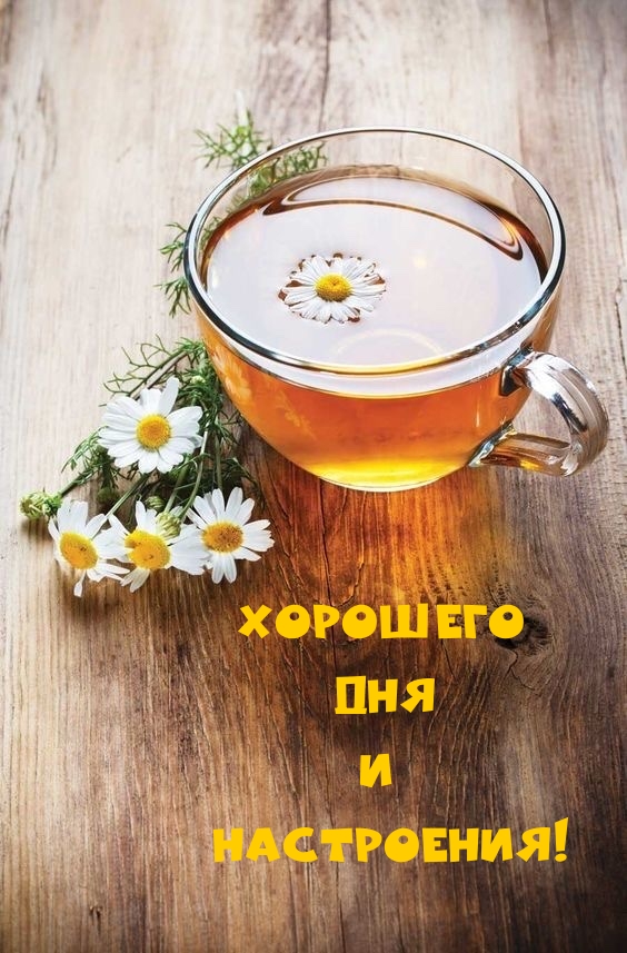 Хорошего дня и настроения!