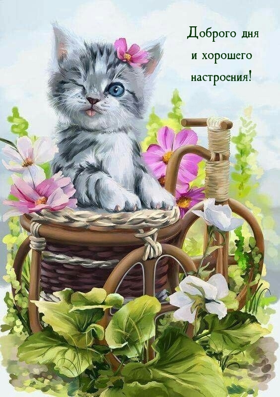 Доброго дня и хорошего настроения!