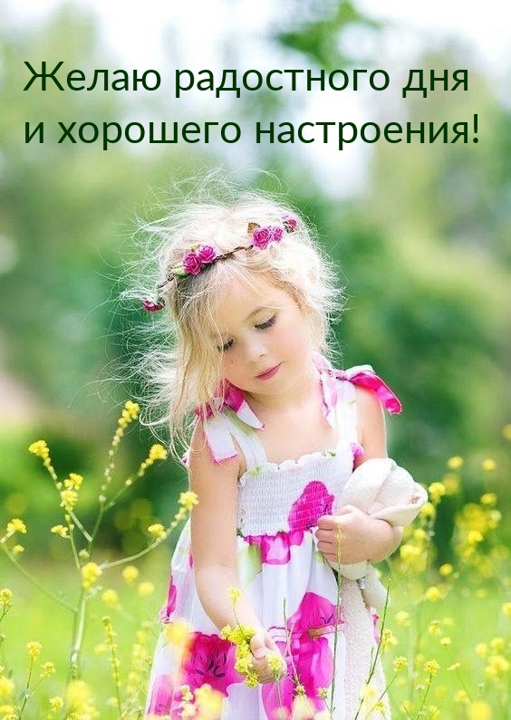 Желаю радостного дня и хорошего настроения!