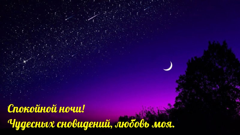 Чудесных сновидений, любовь моя.
