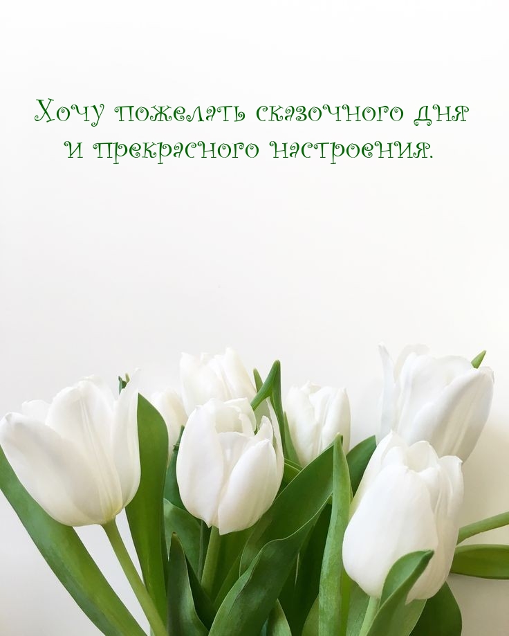 Хочу пожелать сказочного дня и прекрасного настроения.