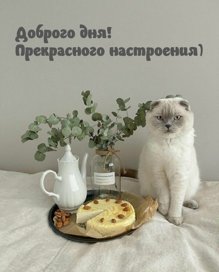 Доброго дня! Прекрасного настроения)