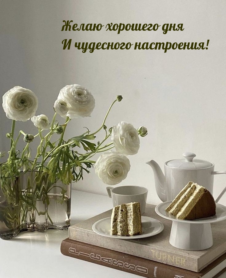 Желаю хорошего дня И чудесного настроения!