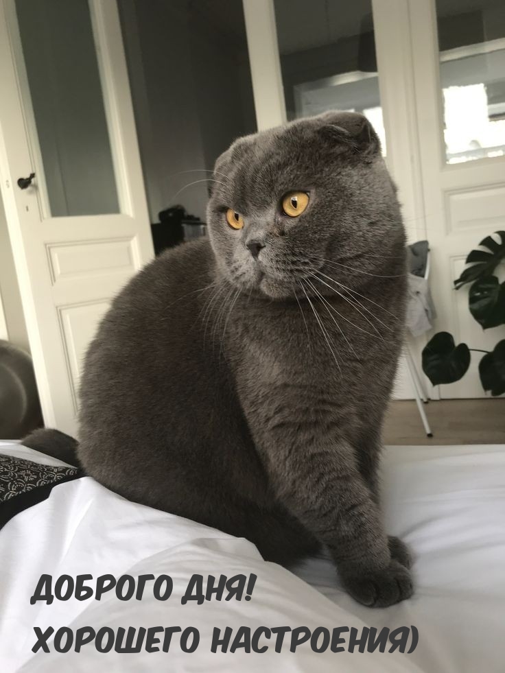 Доброго дня! Хорошего настроения)