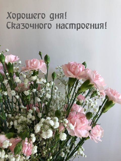 Хорошего дня! Сказочного настроения!
