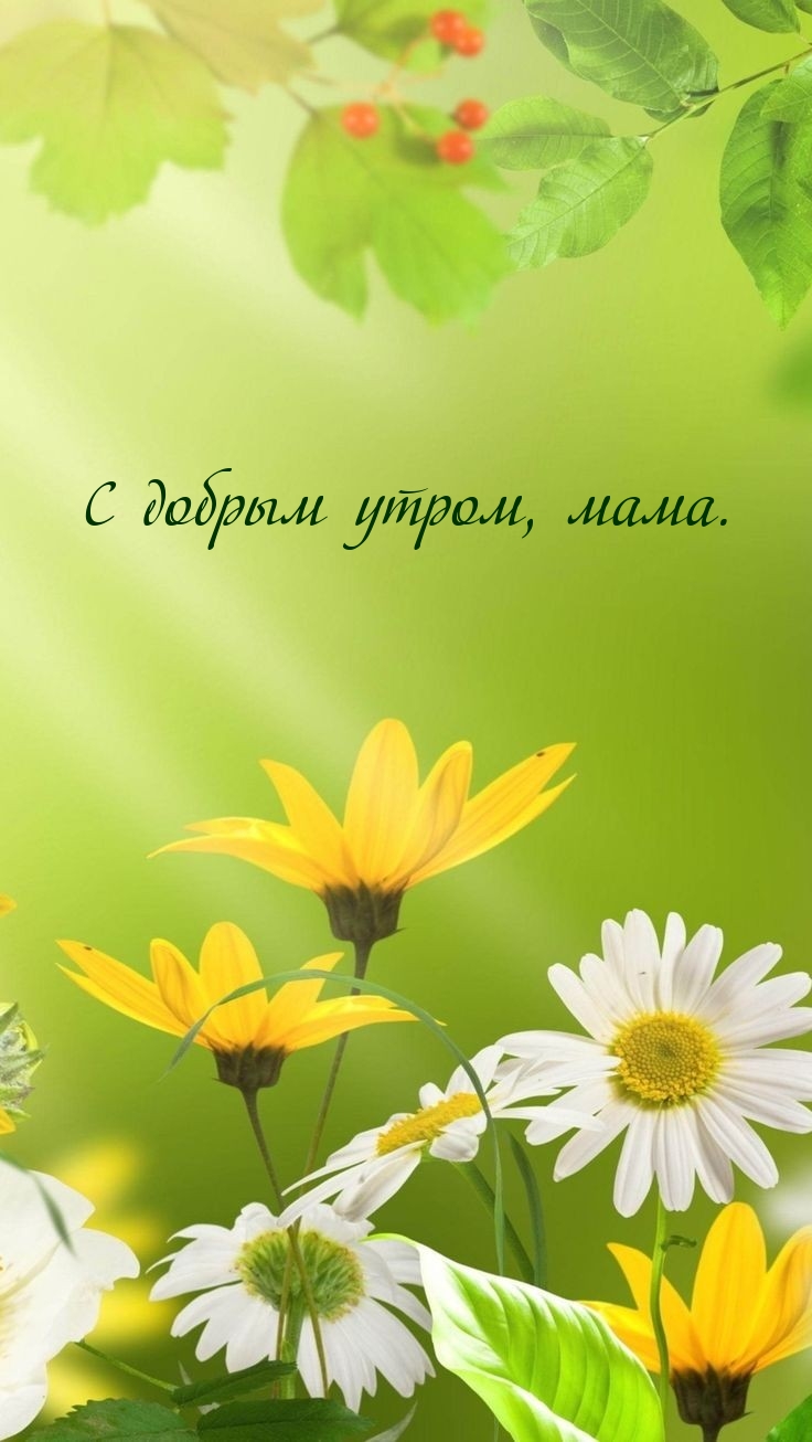 С добрым утром, мама.