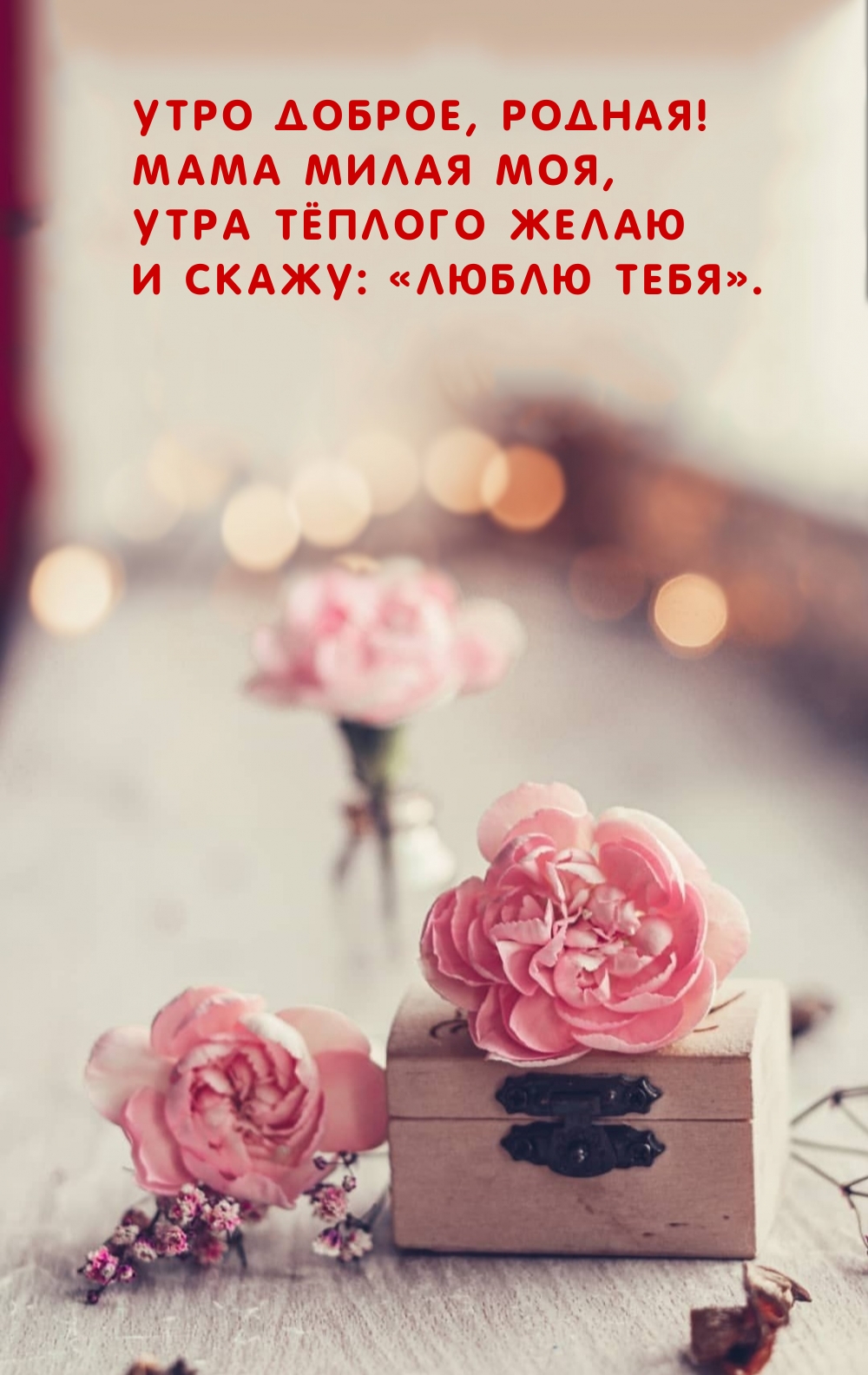 Утро доброе, родная! Мама милая моя