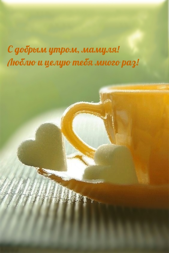 С добрым утром, мамуля! Люблю и целую тебя много раз!