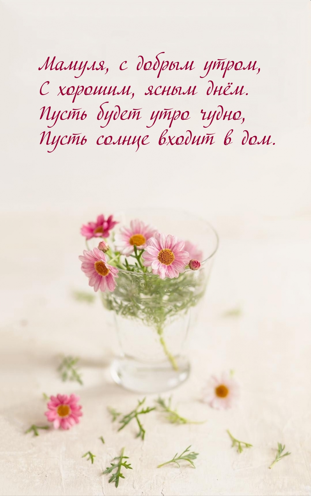 Мамуля, с добрым утром, с хорошим, ясным днём.
