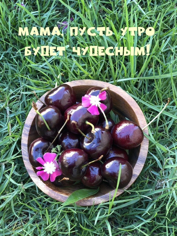 Мама, пусть утро будет чудесным!