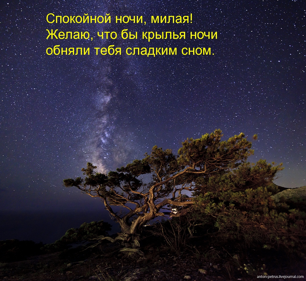 Милая, сладкого сна, спокойно ночи!