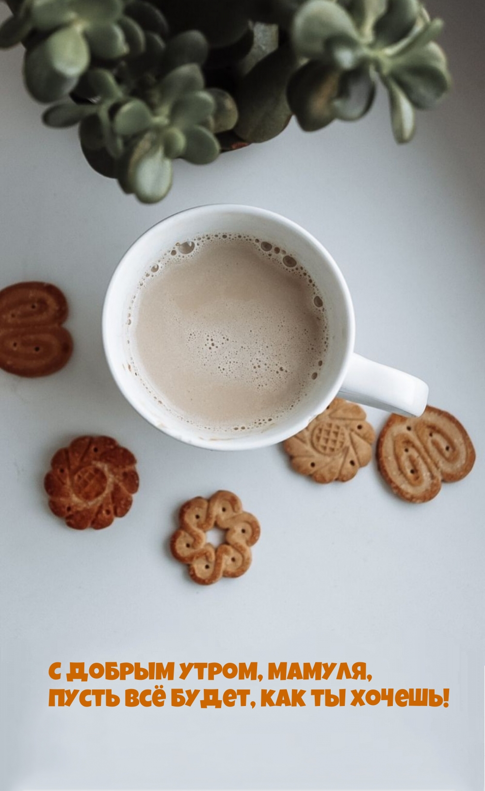 С добрым утром, мамуля, пусть всё будет, как ты хочешь!