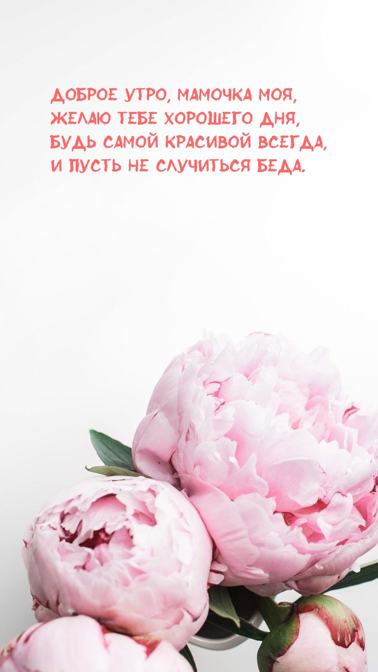 Доброе утро, мамочка моя, желаю тебе хорошего дня