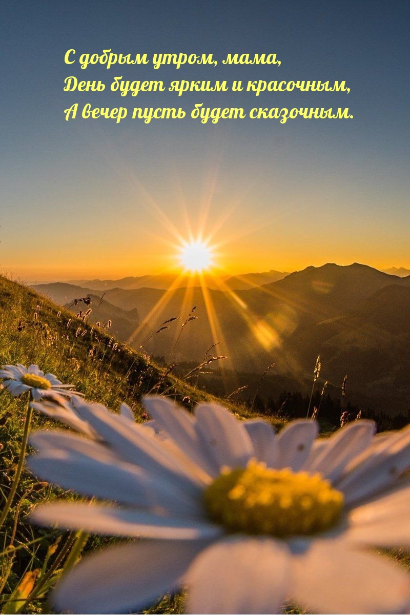 С добрым утром, мама, день будет ярким и красочным