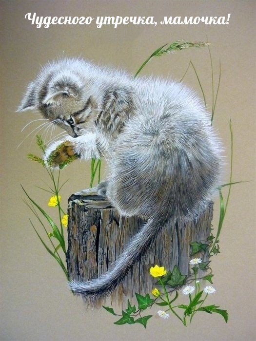 Чудесного утречка, мамочка!