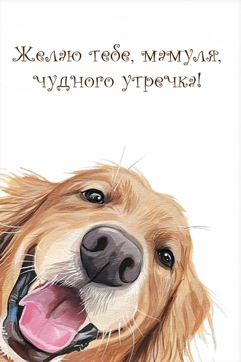 Желаю тебе, мамуля, чудного утречка!
