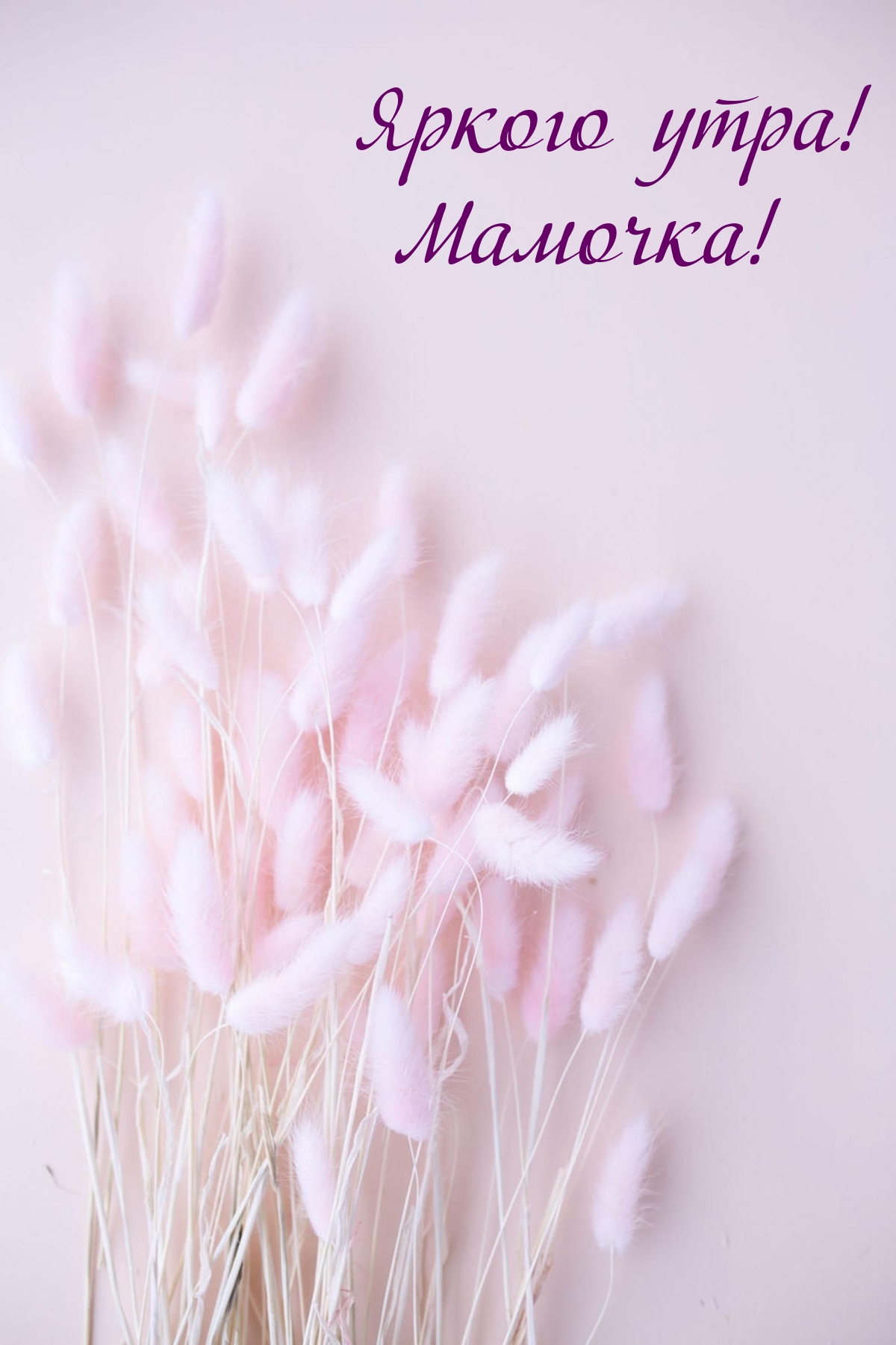 Яркого утра! Мамочка!