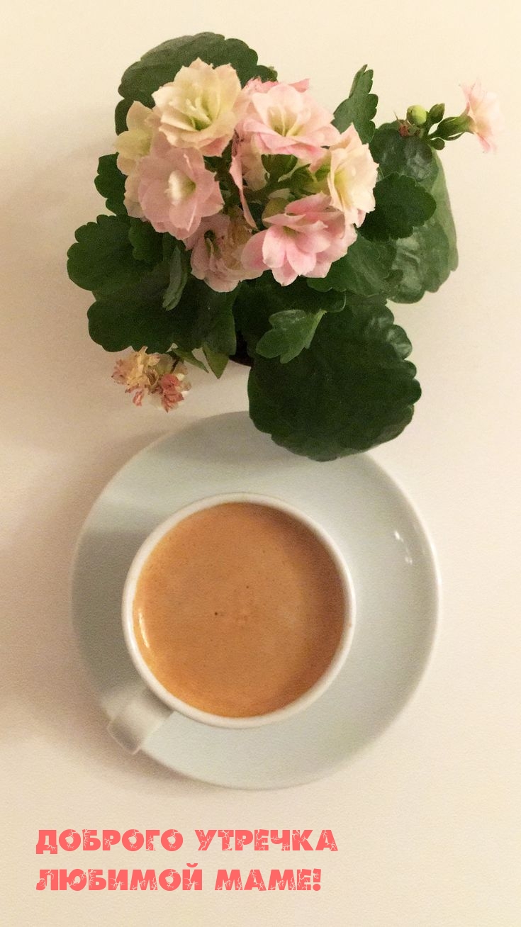 Доброго утречка любимой маме!