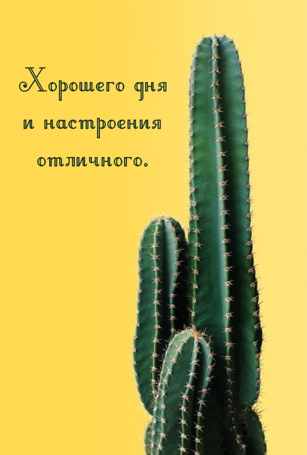 Хорошего дня и настроения отличного.