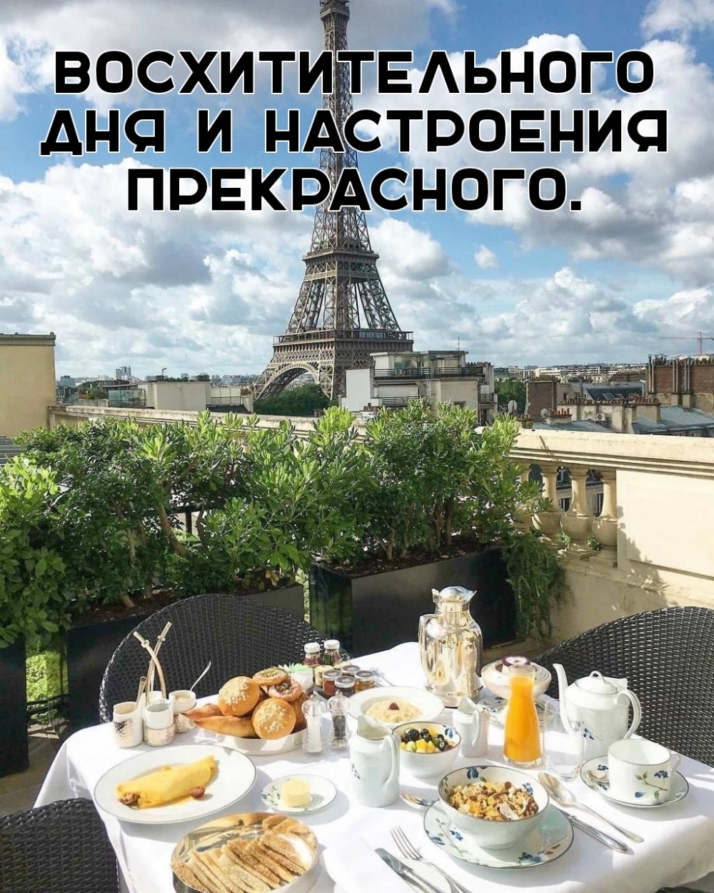 Восхитительного дня и настроения прекрасного.