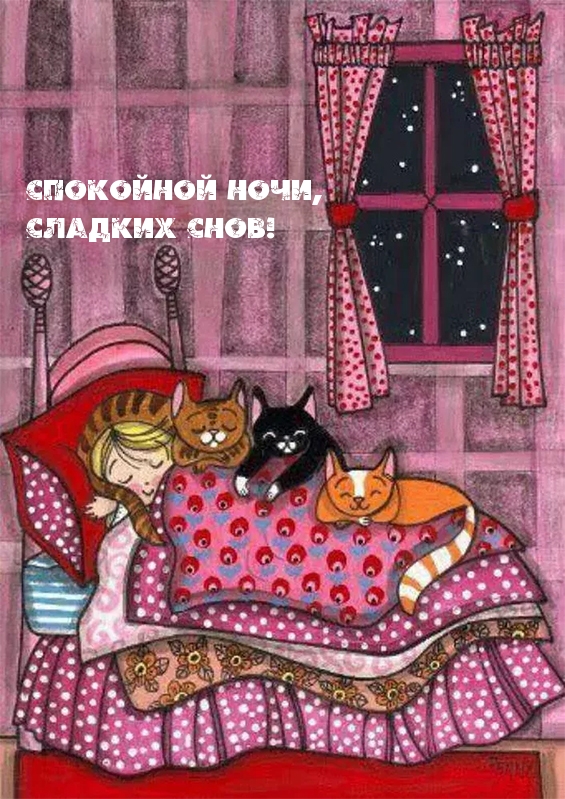 Спокойной ночи, сладких снов!